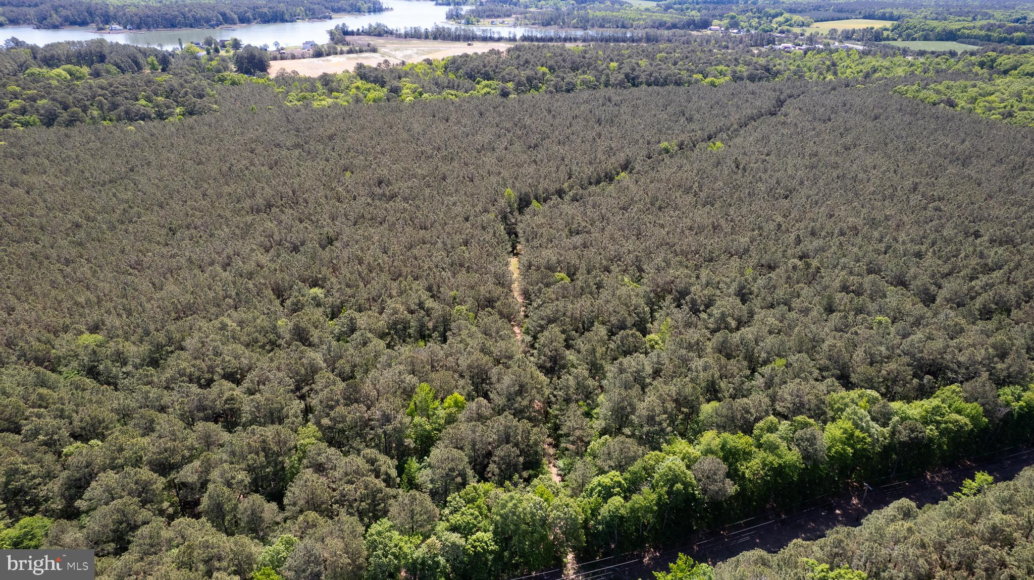 Taylors Island Road Woolford, MD 21677 - Photo 14 of 21 Wooded Aerial
