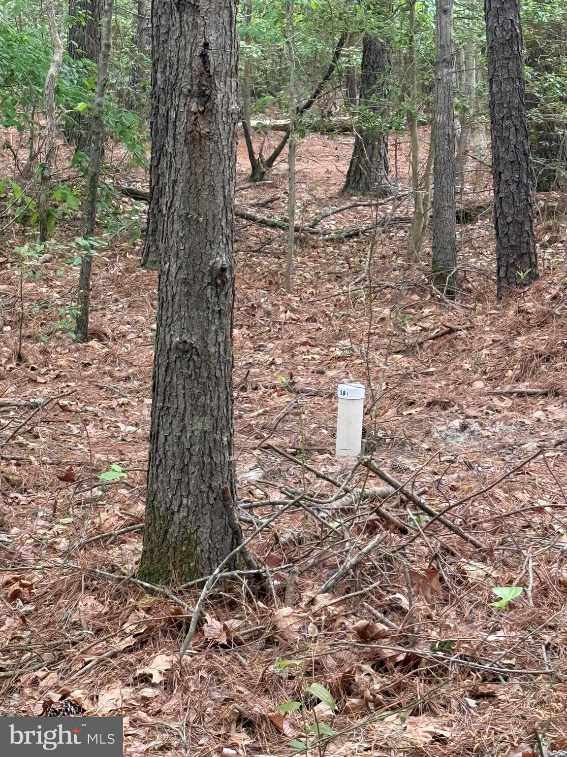 Taylors Island Road Woolford, MD 21677 - Photo 21 of 21 Perc Test in Process