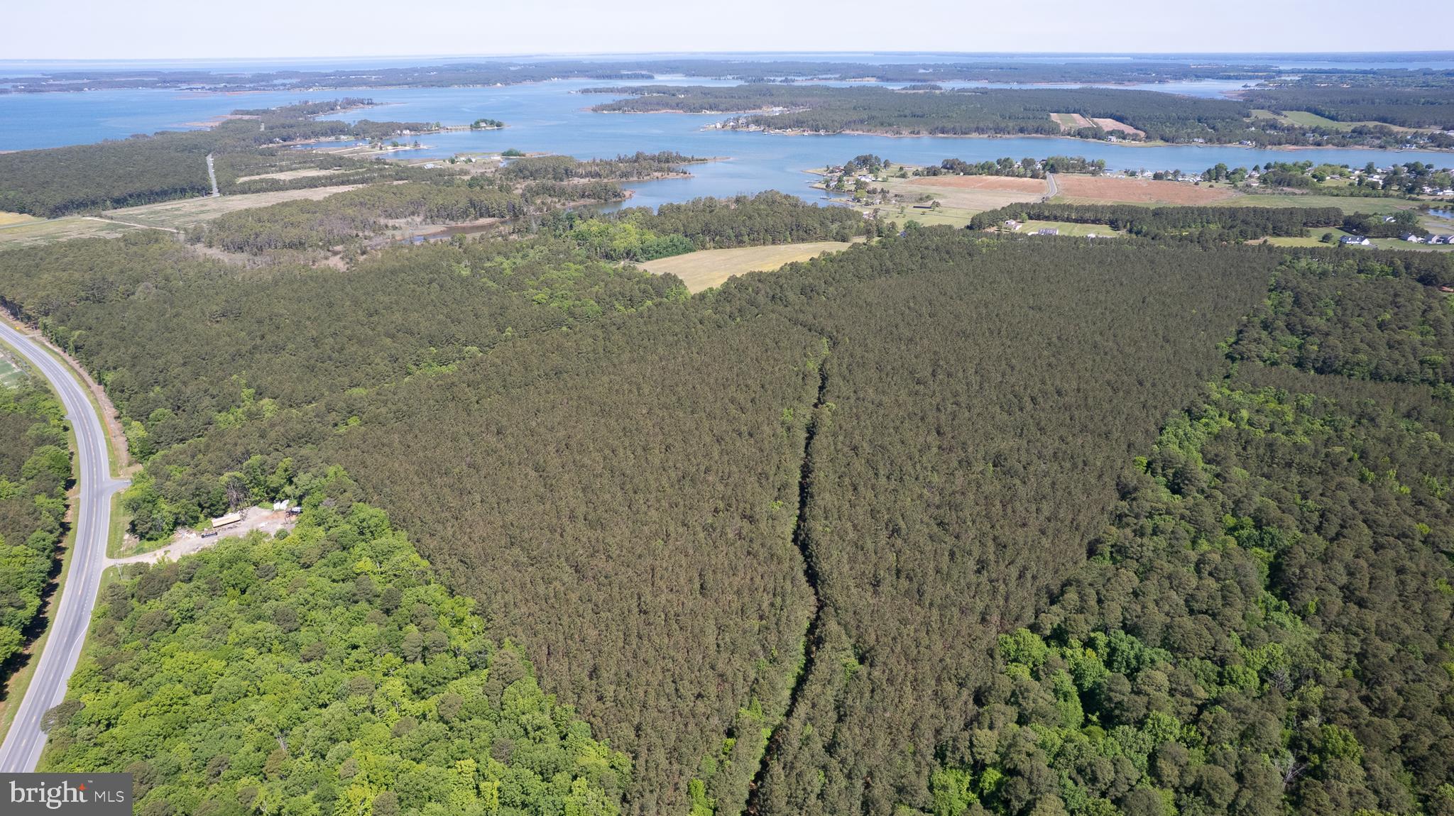 Taylors Island Road Woolford, MD 21677 - Photo 3 of 21 Wooded Aerial w/Logging Road