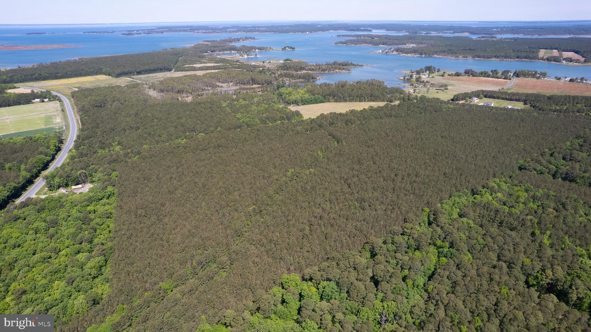 Taylors Island Road Woolford, MD 21677 - Photo 4 of 21 Wooded Aerial