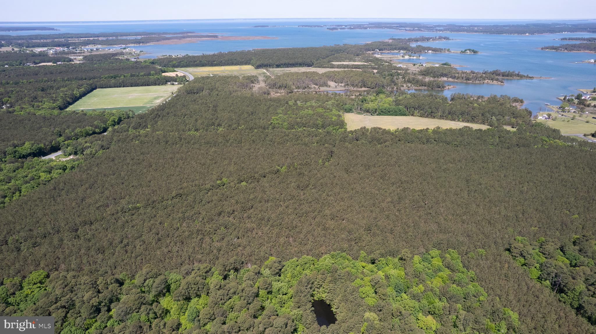 Taylors Island Road Woolford, MD 21677 - Photo 5 of 21 Wooded Aerial