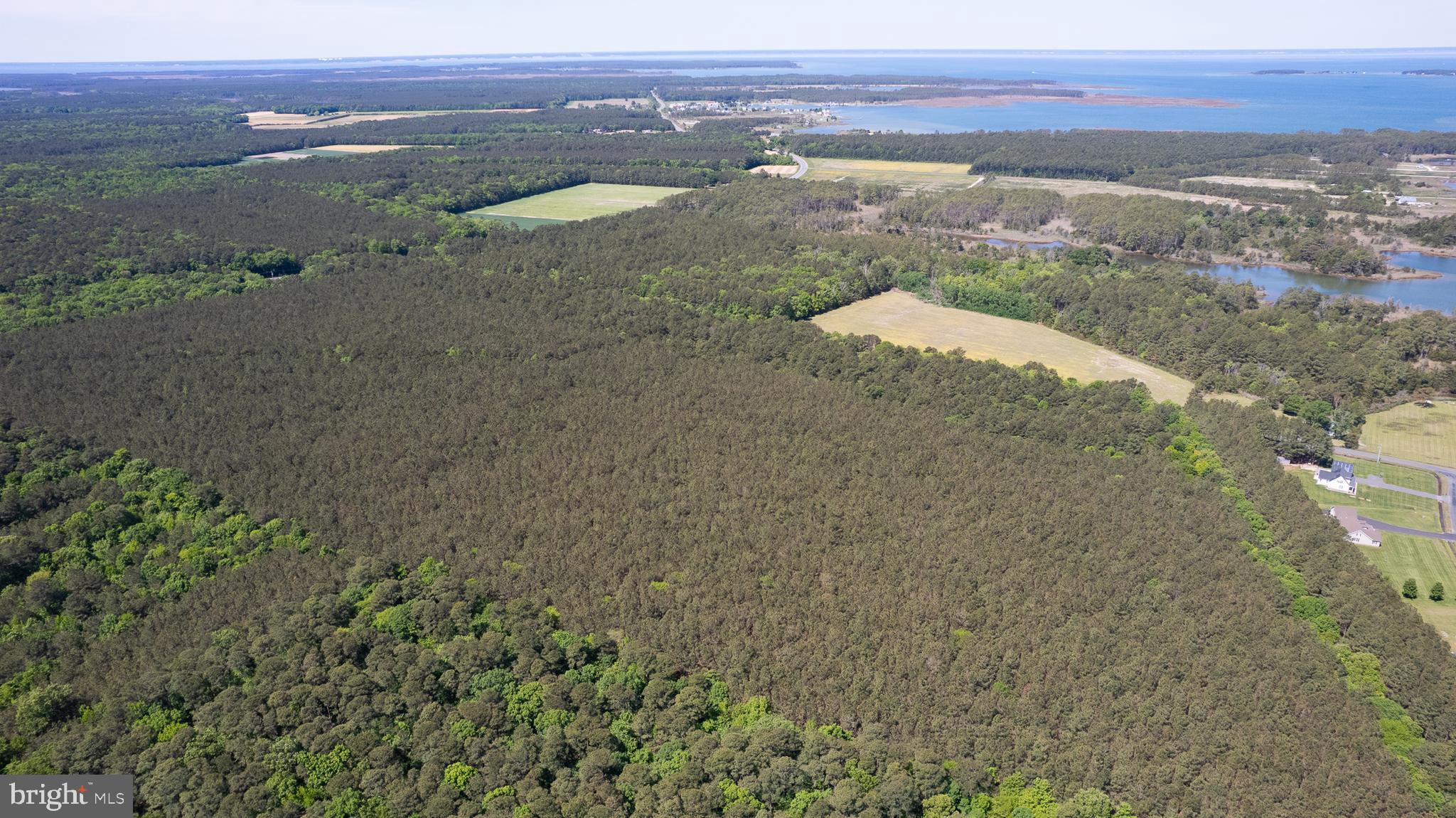 Taylors Island Road Woolford, MD 21677 - Photo 6 of 21 Wooded Aerail