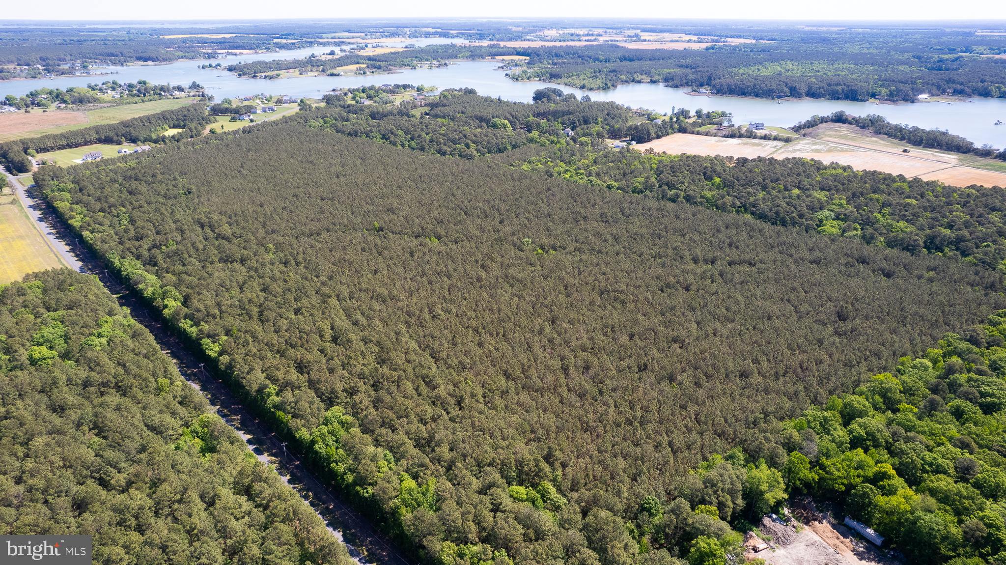 Taylors Island Road Woolford, MD 21677 - Photo 7 of 21 Wooded Aerial