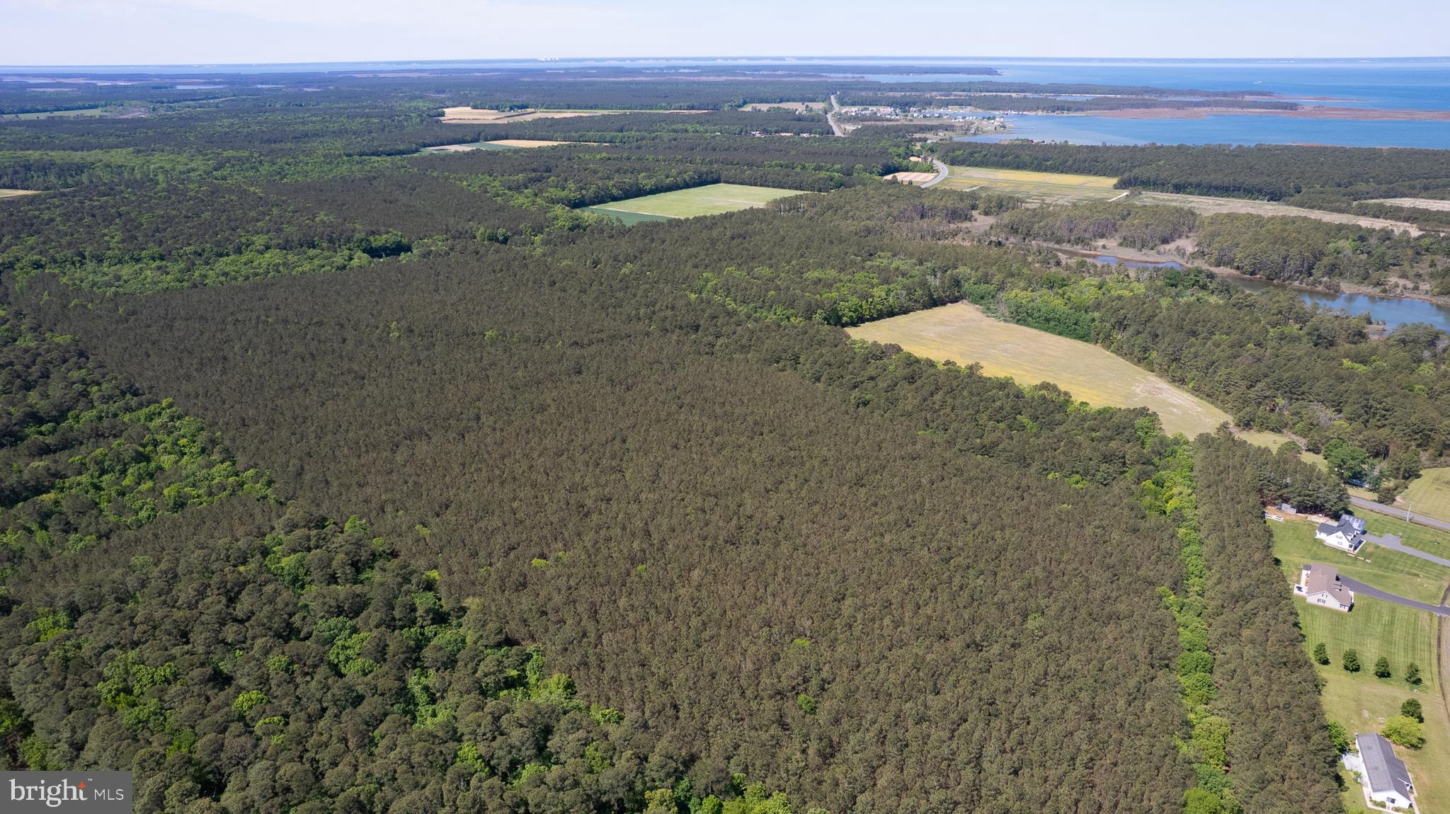 Taylors Island Road Woolford, MD 21677 - Photo 8 of 21 Wooded Aerial