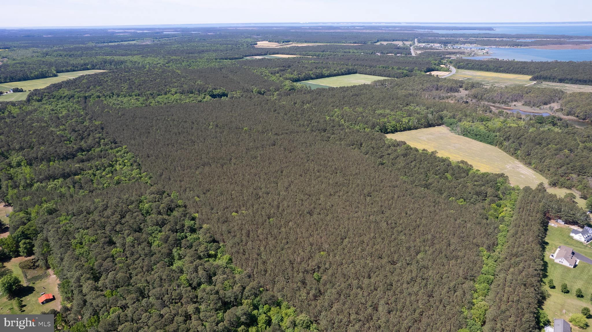 Taylors Island Road Woolford, MD 21677 - Photo 9 of 21 Wooded Aerial