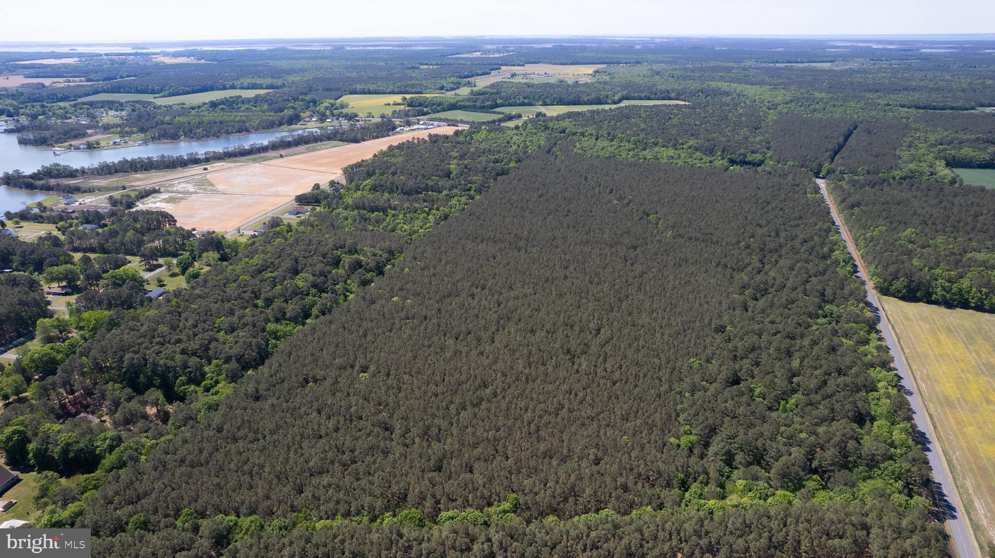Taylors Island Road Woolford, MD 21677 - Photo 10 of 21 Wooded Aerial