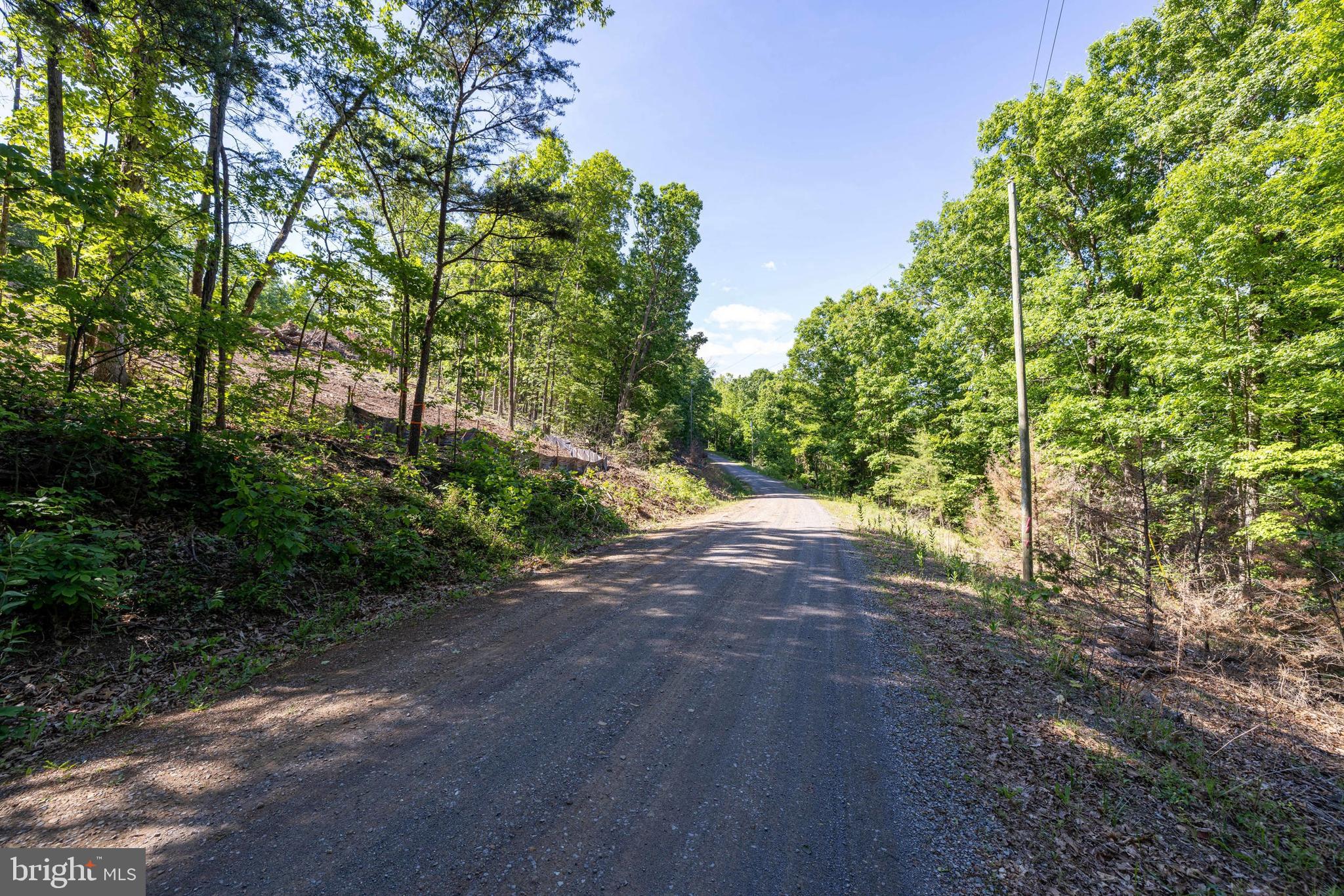 0 Cross Mountain Road Luray, VA 22835 - Photo 49 of 51