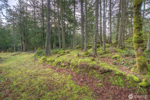 $320,000 | 1536 Neck Point Road, Shaw Island, WA 98286