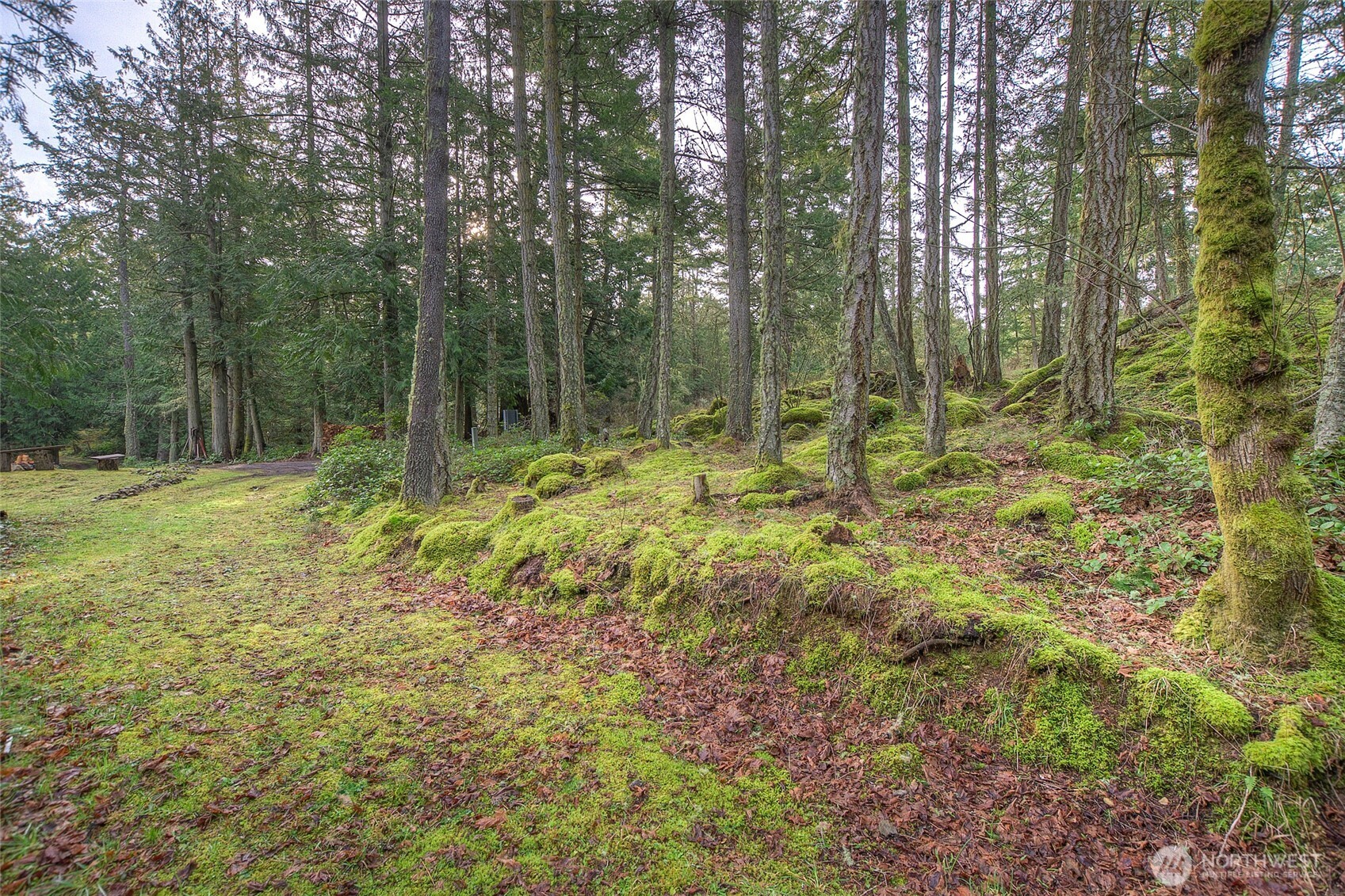 1536 Neck Point Road Shaw Island, WA 98286 - Photo 16 of 33