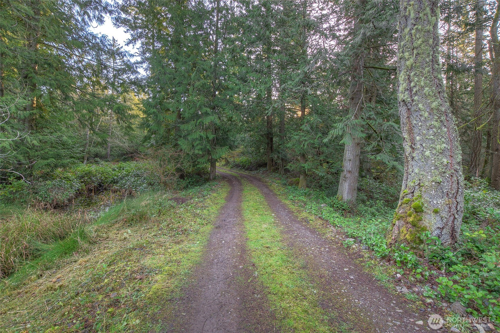 1536 Neck Point Road Shaw Island, WA 98286 - Photo 18 of 33