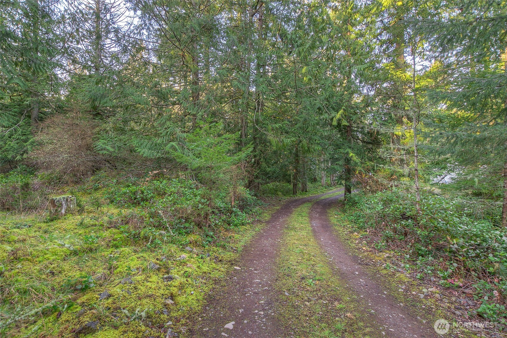 1536 Neck Point Road Shaw Island, WA 98286 - Photo 19 of 33