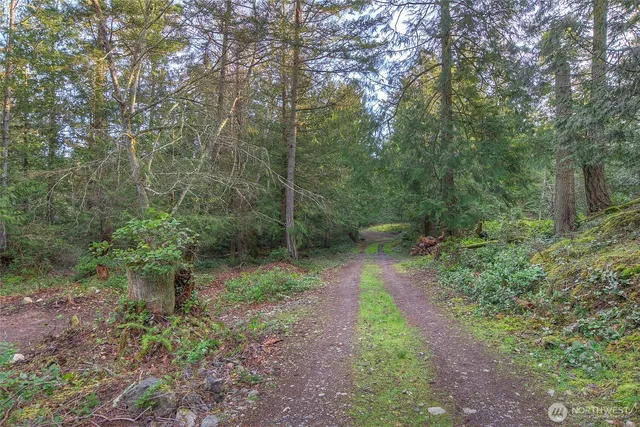 $320,000 | 1536 Neck Point Road, Shaw Island, WA 98286