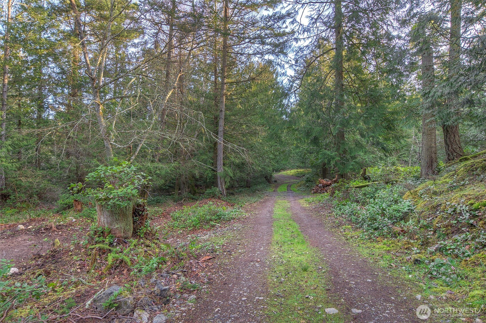 1536 Neck Point Road Shaw Island, WA 98286 - Photo 20 of 33