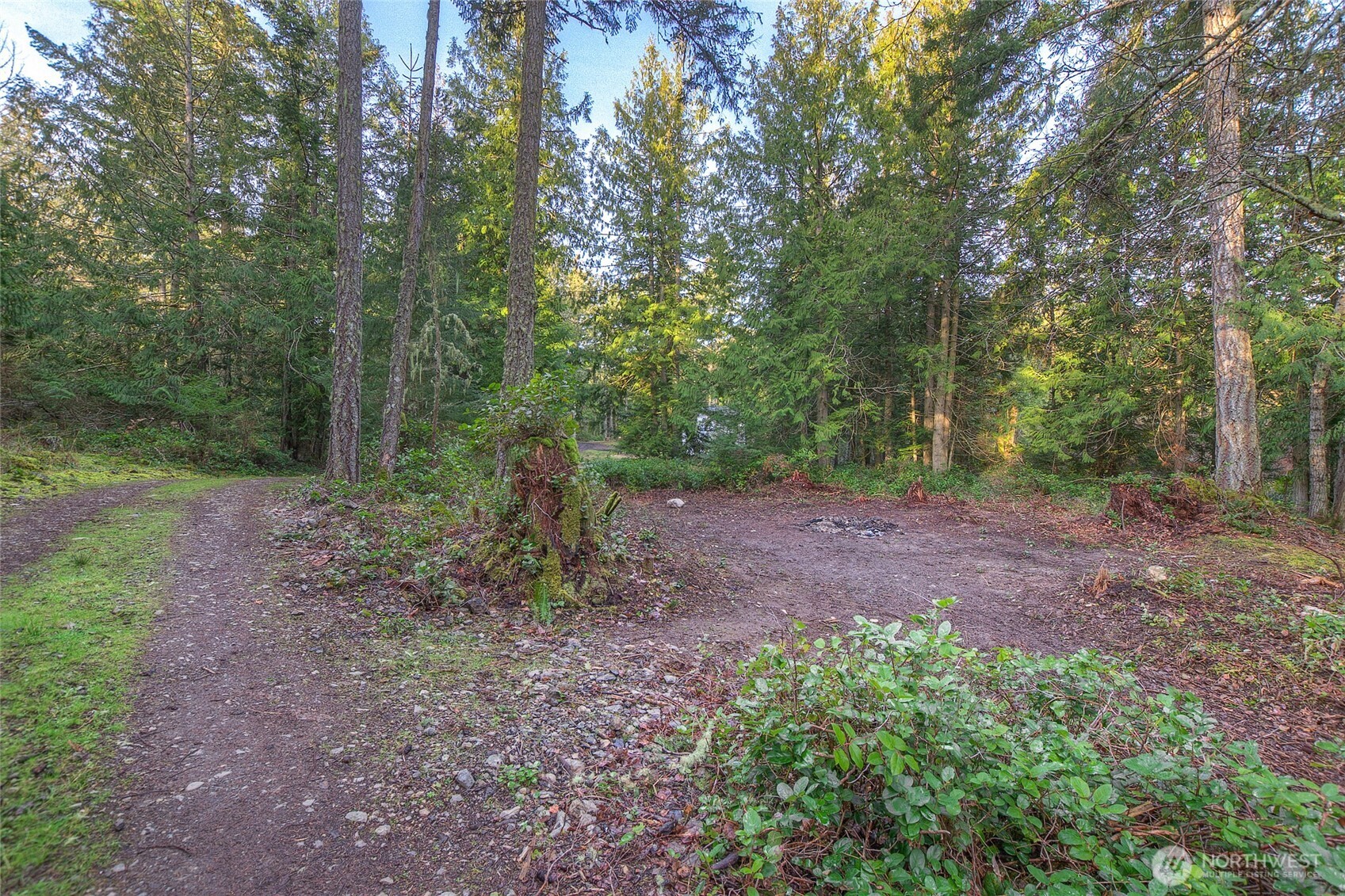 1536 Neck Point Road Shaw Island, WA 98286 - Photo 21 of 33