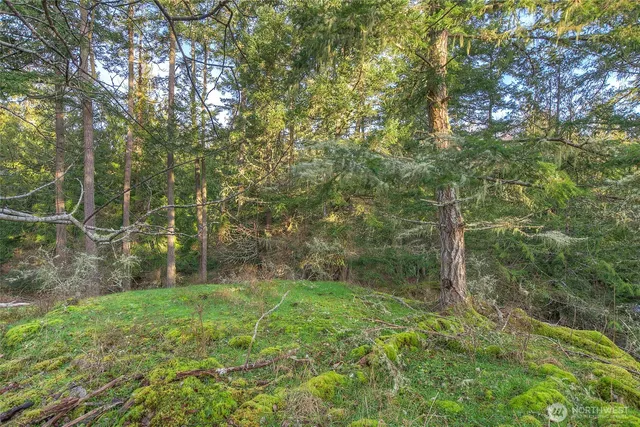 $320,000 | 1536 Neck Point Road, Shaw Island, WA 98286