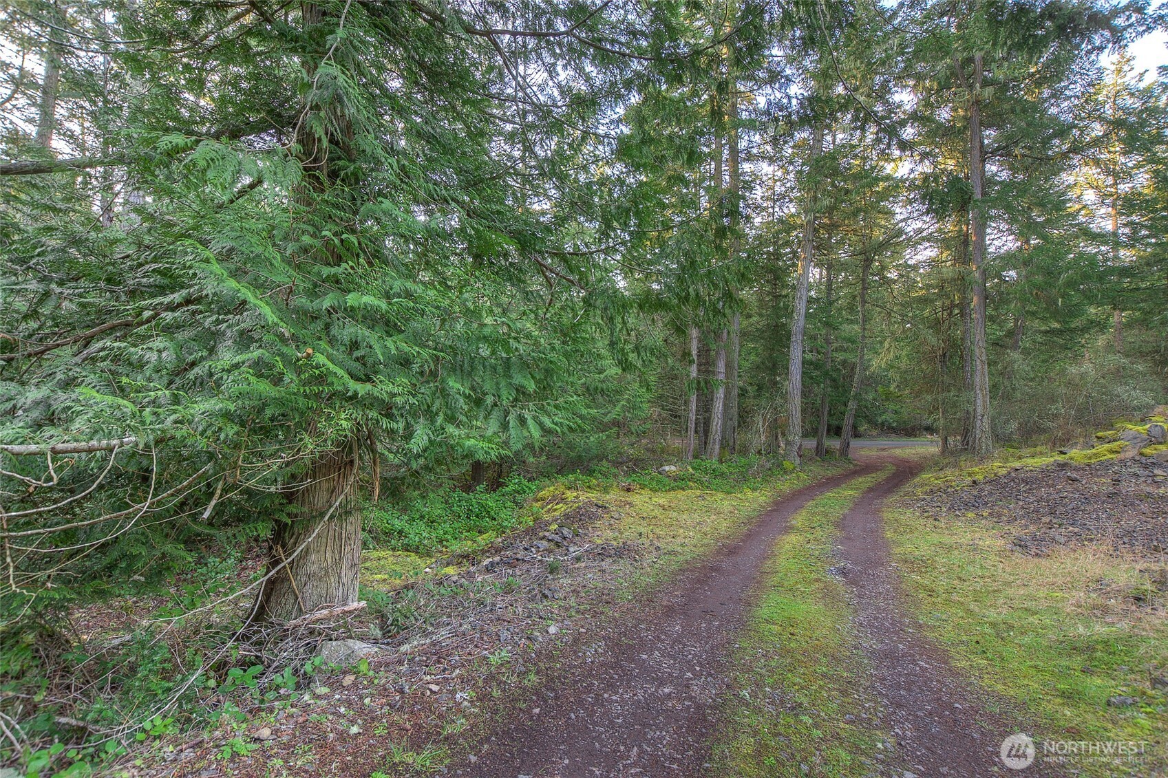 1536 Neck Point Road Shaw Island, WA 98286 - Photo 4 of 33