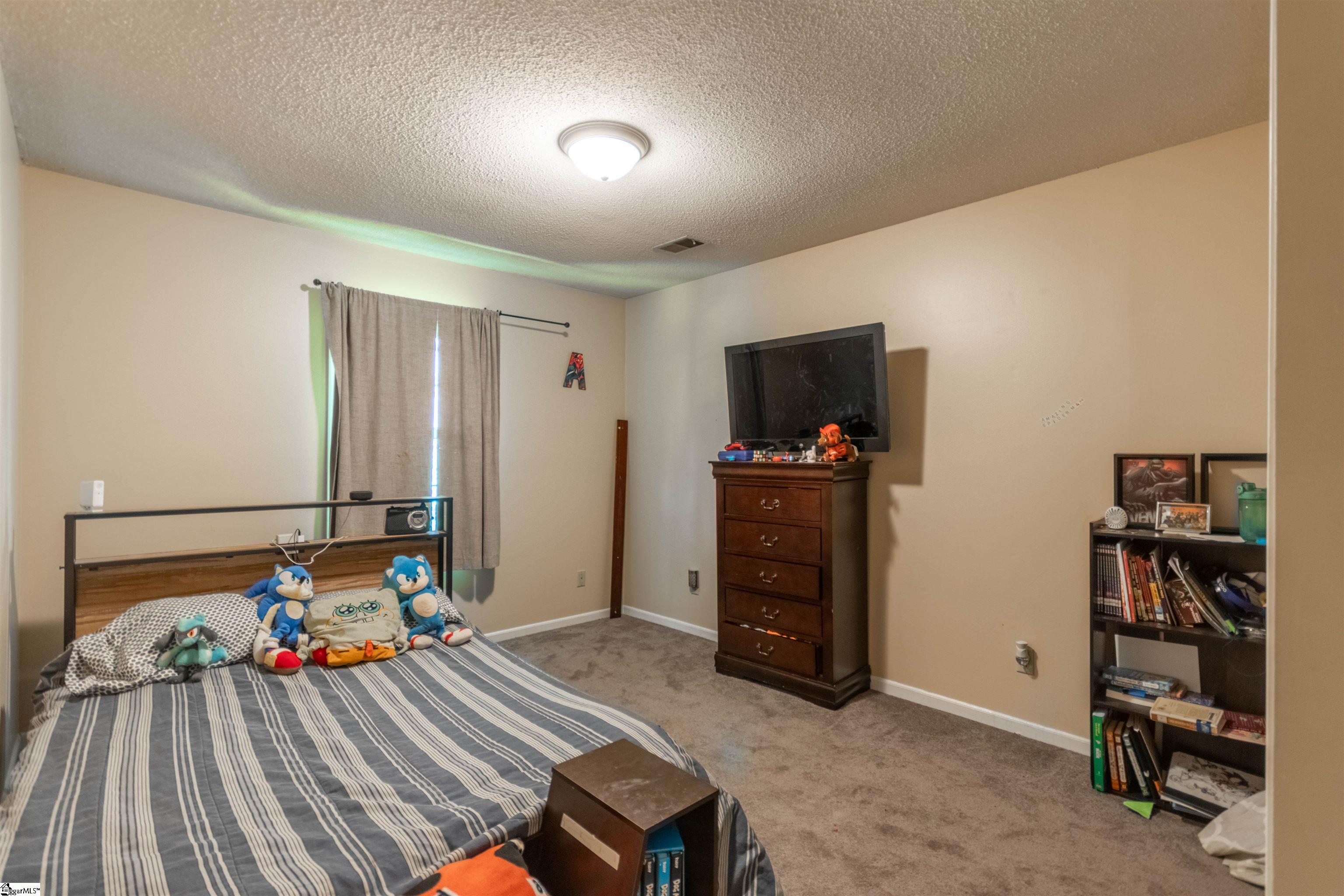 164 Chestnut Lake Drive Inman, SC 29349 - Photo 16 of 24