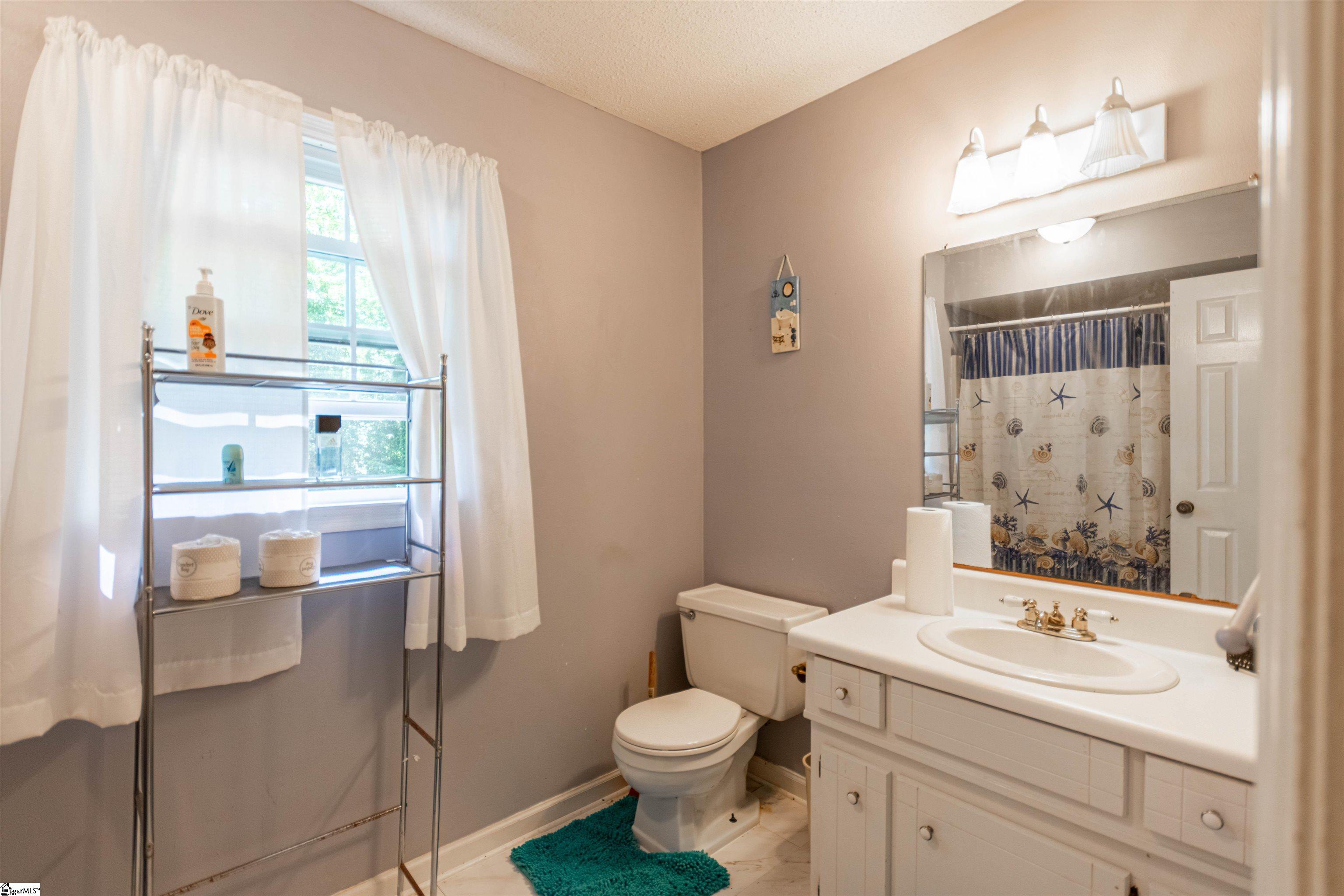 164 Chestnut Lake Drive Inman, SC 29349 - Photo 18 of 24