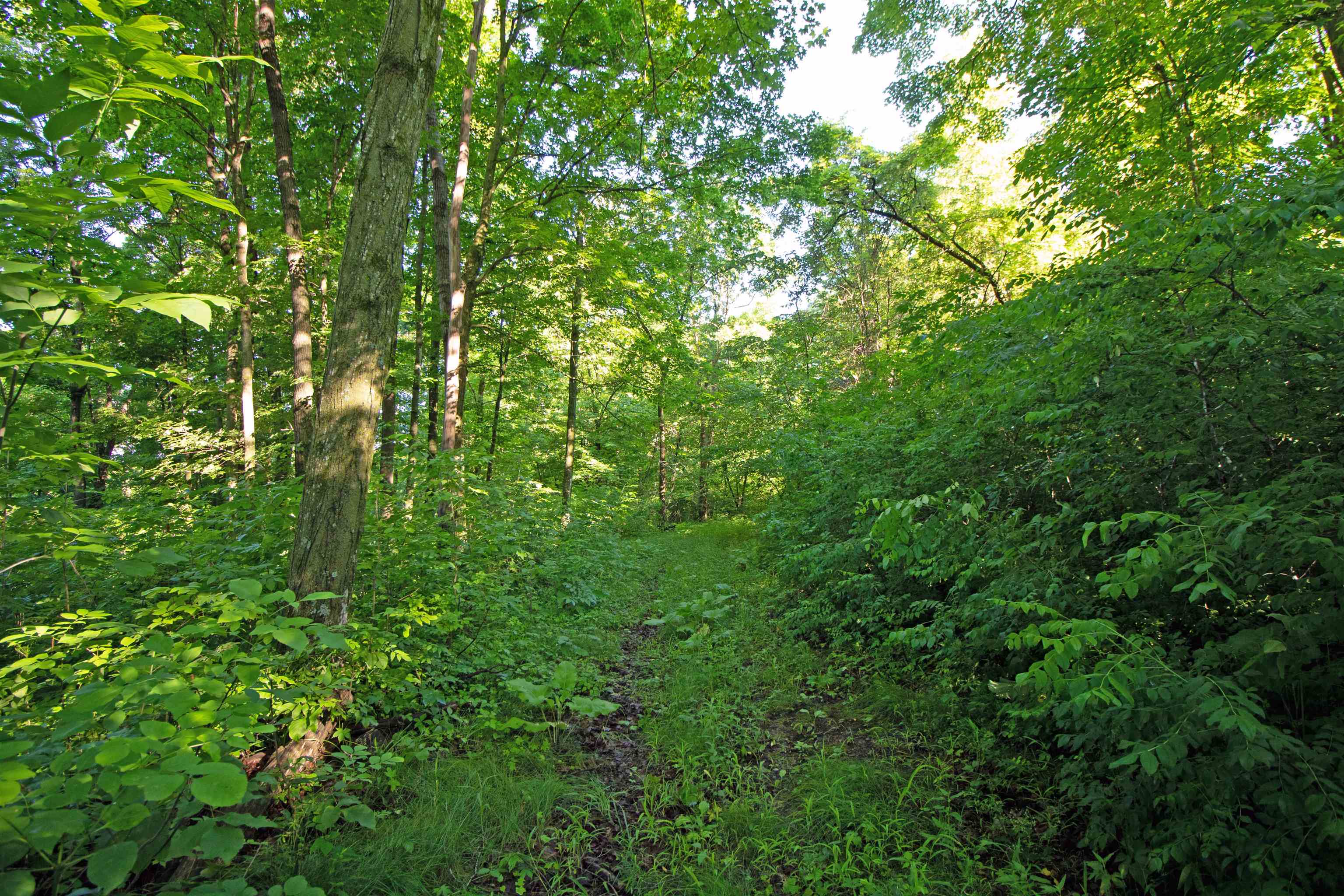 76-acres Skyline Road Blue River, WI 53518 - Photo 8 of 46