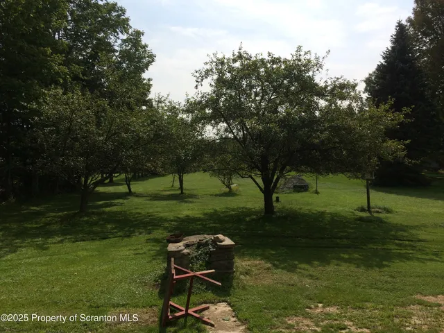 a garden with trees in the background