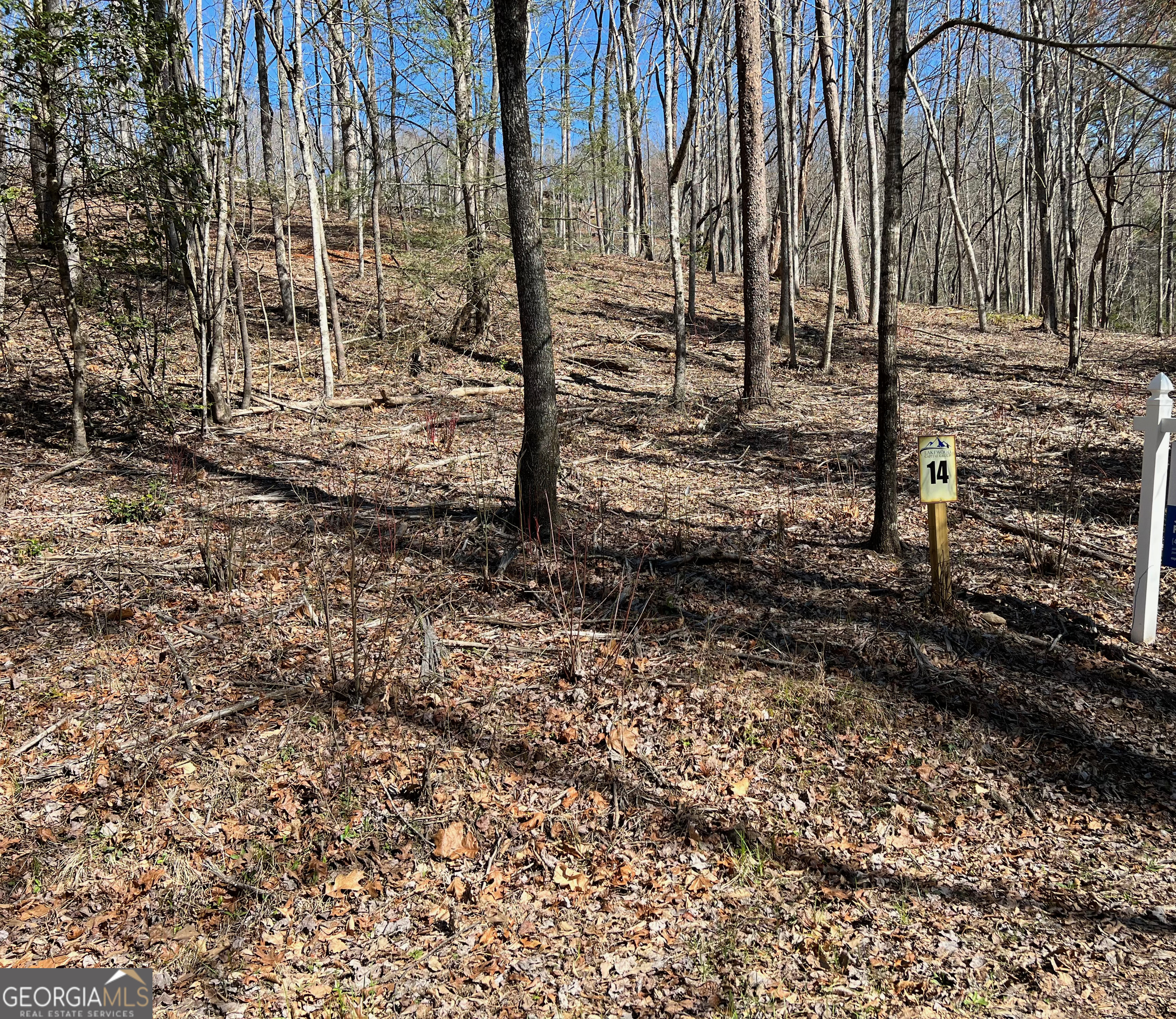 Lot 14 Haven Way Blue Ridge, GA 30513 - Photo 1 of 1 a backyard of a house with lots of green space