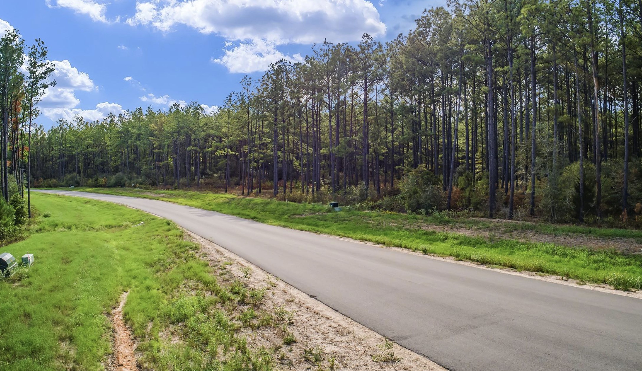 10721 Ruger Road Willis, TX 77378 - Photo 24 of 24 Gallery Image 24