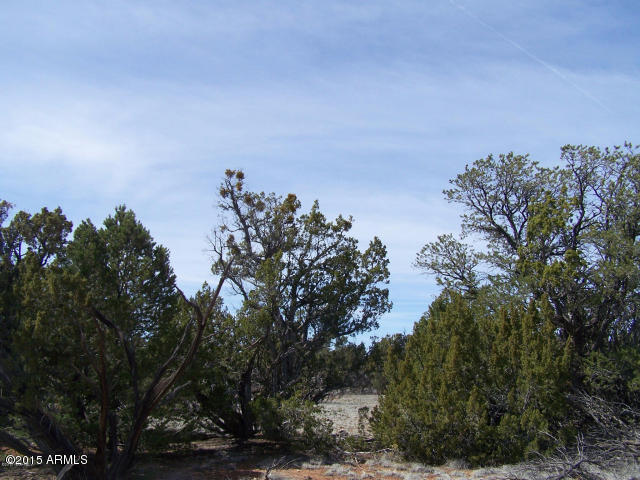 5789 North Cubby Bear Rd. Way, Unit 140 Williams, AZ 86046 - Photo 1 of 11 20150507042952187883000000-o