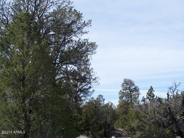 5789 North Cubby Bear Rd. Way, Unit 140 Williams, AZ 86046 - Photo 11 of 11 20150507043240143633000000-o