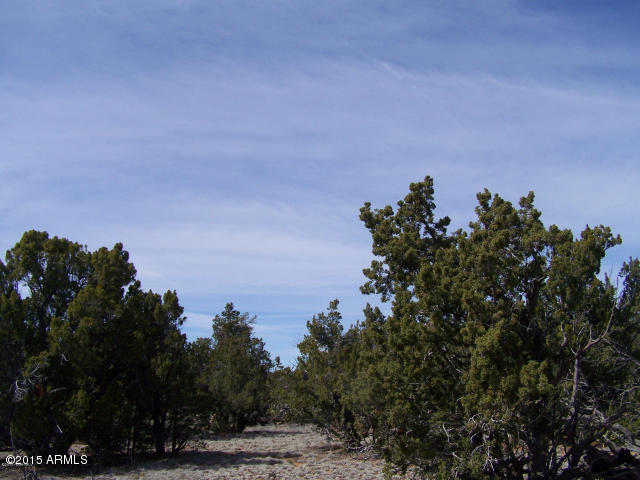 5789 North Cubby Bear Rd. Way, Unit 140 Williams, AZ 86046 - Photo 3 of 11 20150507043024747481000000-o