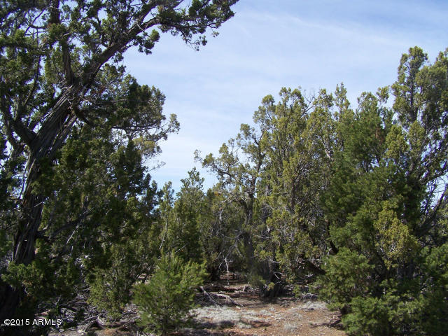 5789 North Cubby Bear Rd. Way, Unit 140 Williams, AZ 86046 - Photo 5 of 11 20150507043053500774000000-o