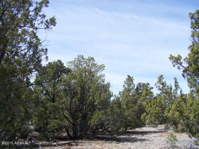 5789 North Cubby Bear Rd. Way, Unit 140 Williams, AZ 86046 - Photo 6 of 11 20150507043117342767000000-o