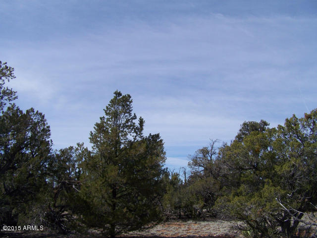 5789 North Cubby Bear Rd. Way, Unit 140 Williams, AZ 86046 - Photo 7 of 11 20150507043126569749000000-o