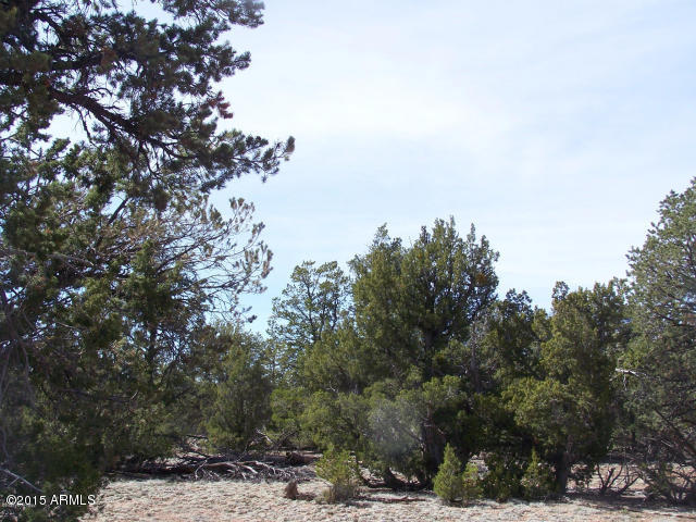 5789 North Cubby Bear Rd. Way, Unit 140 Williams, AZ 86046 - Photo 8 of 11 20150507043141043463000000-o