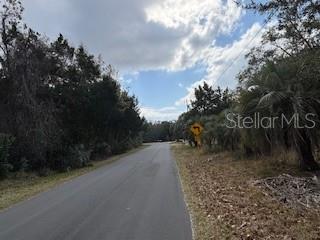6185 South Hancock Road Homosassa, FL 34448 - Photo 4 of 9 a view of a yard with plants and trees