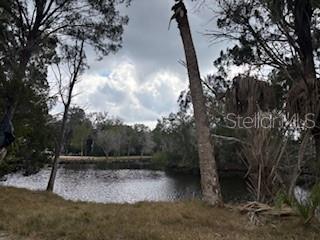 6185 South Hancock Road Homosassa, FL 34448 - Photo 5 of 9 a view of a backyard