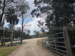 6185 South Hancock Road Homosassa, FL 34448 - Photo 6 of 9 a view of backyard with wooden fence and trees