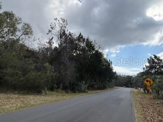 6185 South Hancock Road Homosassa, FL 34448 - Photo 7 of 9 a view of a pathway both side of a road