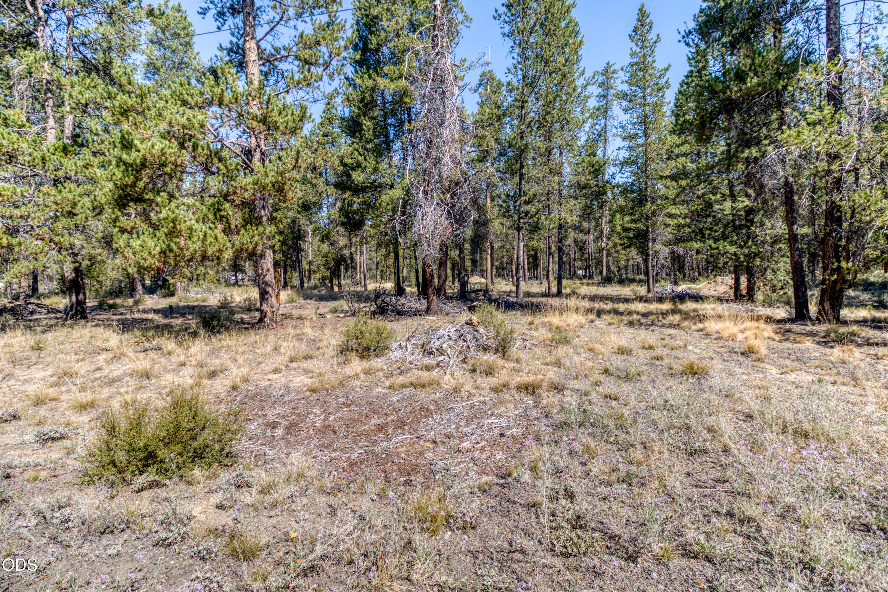 16212 Green Forest Road La Pine, OR 97739 - Photo 3 of 15 Gallery Image 3
