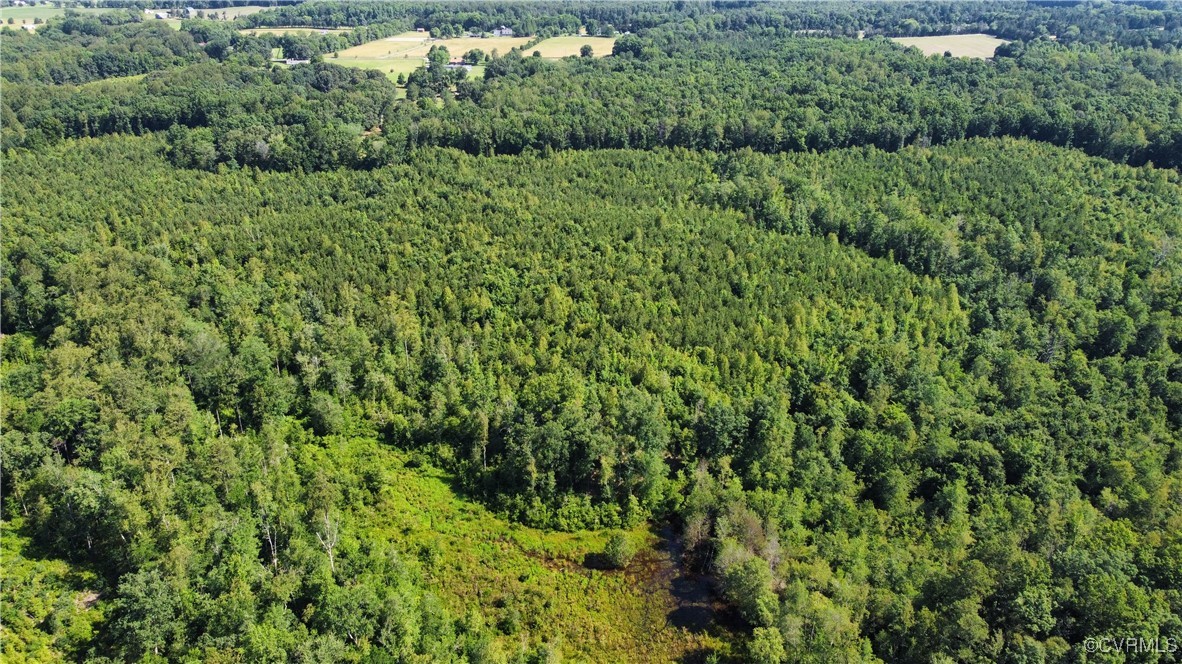 Tbd Doris Lane Ruther Glen, VA 22546 - Photo 11 of 22 Aerial view of property's location with a forest