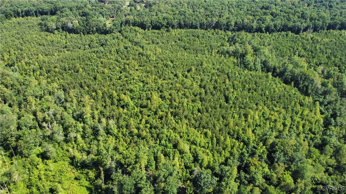 Tbd Doris Lane Ruther Glen, VA 22546 - Photo 12 of 22 Aerial view of property's location featuring a for