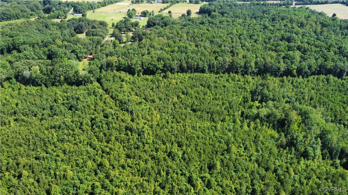 Tbd Doris Lane Ruther Glen, VA 22546 - Photo 14 of 22 Aerial overview of property's location featuring a