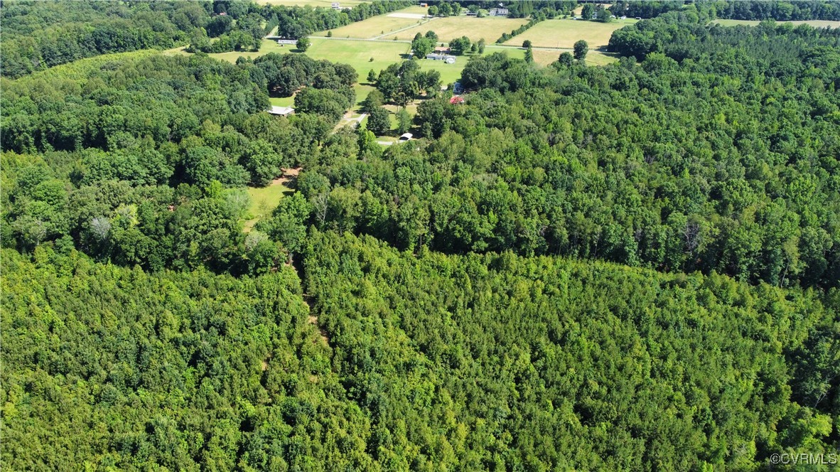 Tbd Doris Lane Ruther Glen, VA 22546 - Photo 15 of 22 Aerial view of property's location with a forest