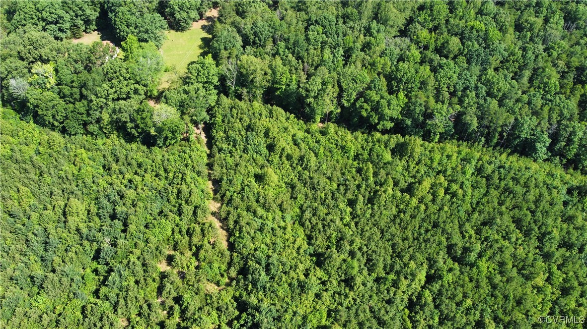 Tbd Doris Lane Ruther Glen, VA 22546 - Photo 16 of 22 Aerial overview of property's location featuring a