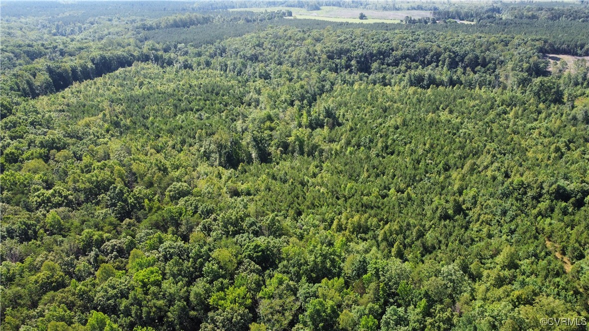 Drone / aerial view of a heavily wooded area