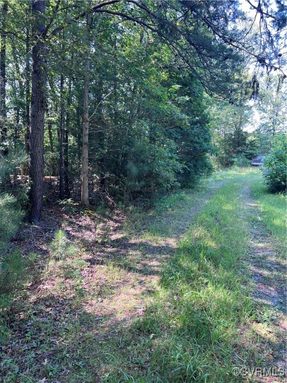 Tbd Doris Lane Ruther Glen, VA 22546 - Photo 21 of 22 View of wooded area