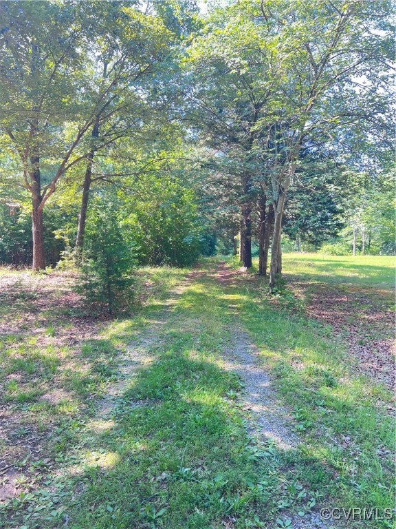 Tbd Doris Lane Ruther Glen, VA 22546 - Photo 22 of 22 View of yard with a wooded view
