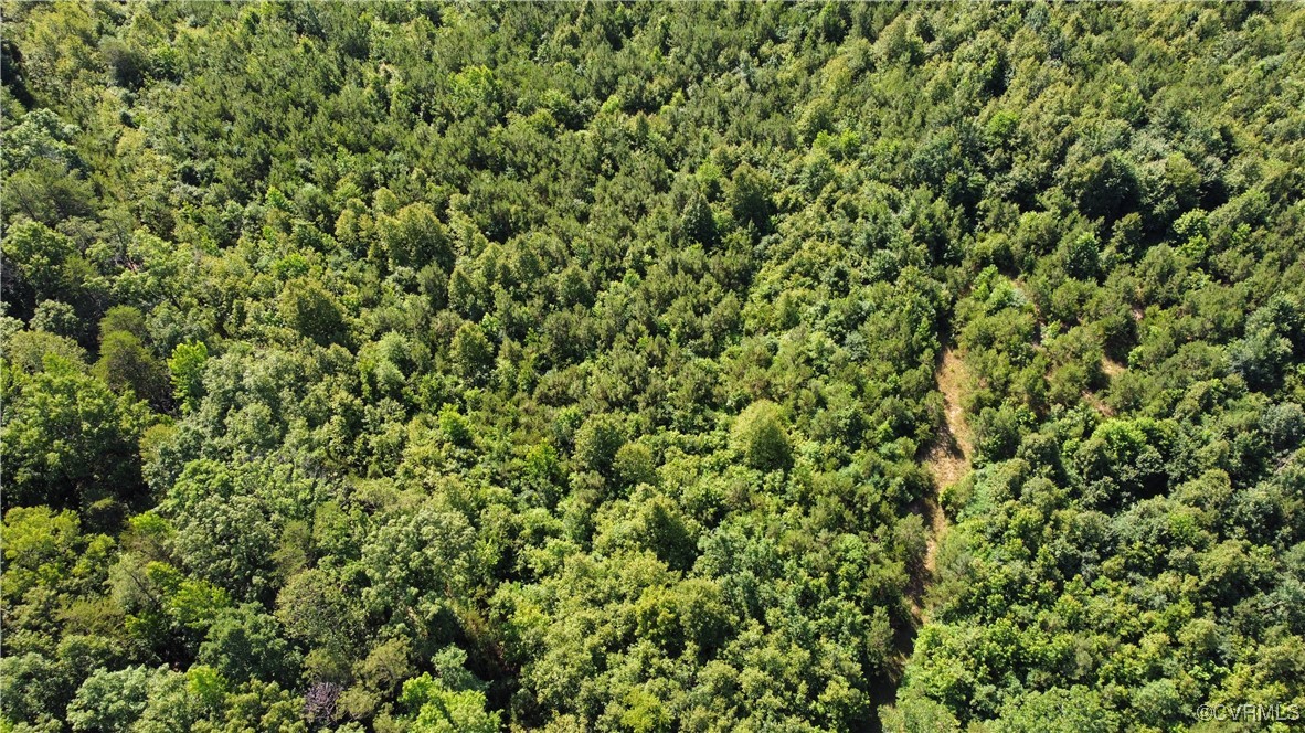 Drone / aerial view of a heavily wooded area