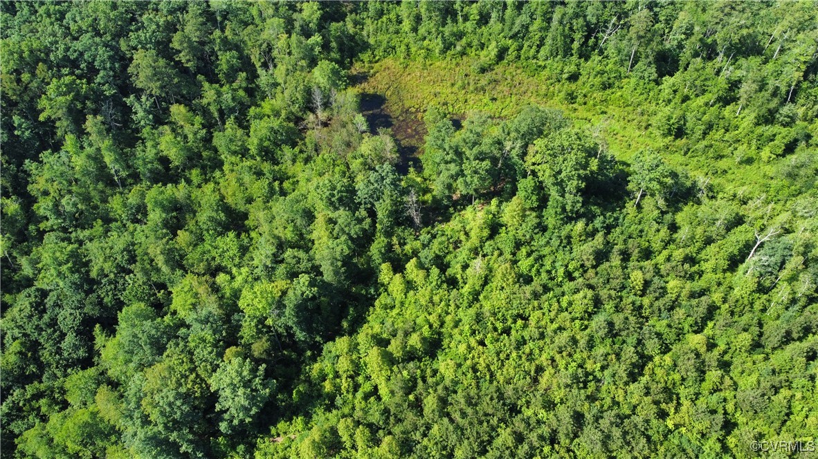Tbd Doris Lane Ruther Glen, VA 22546 - Photo 8 of 22 Aerial view of property's location
