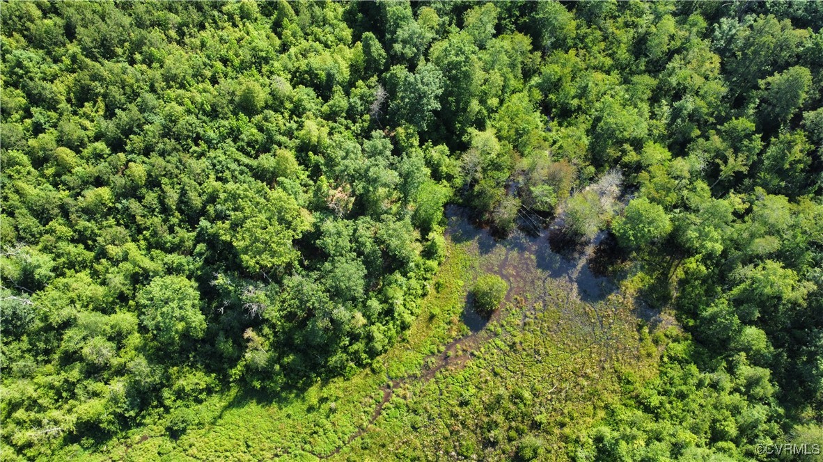 Tbd Doris Lane Ruther Glen, VA 22546 - Photo 9 of 22 Aerial view of property's location