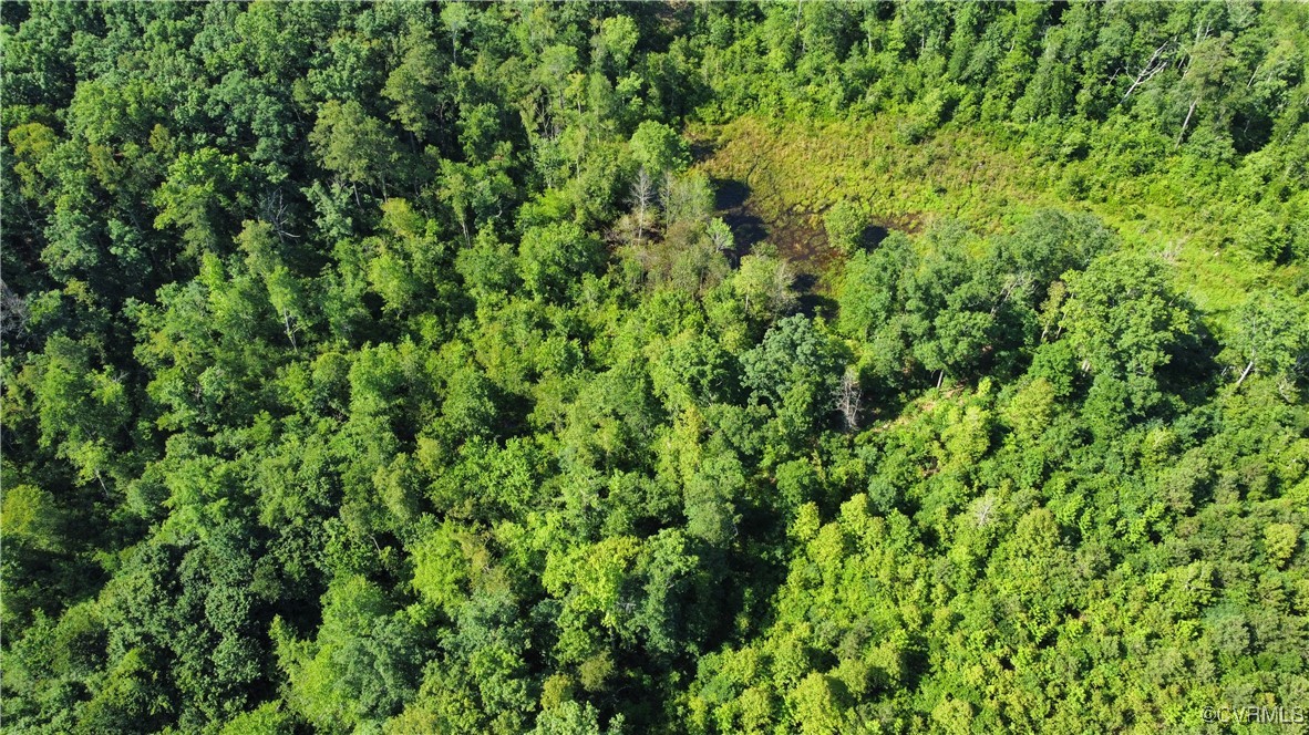 Tbd Doris Lane Ruther Glen, VA 22546 - Photo 10 of 22 View of property location
